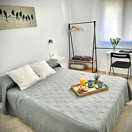 El Rincon De Apolo. Atico Con Aparcamiento Gratis. Málaga